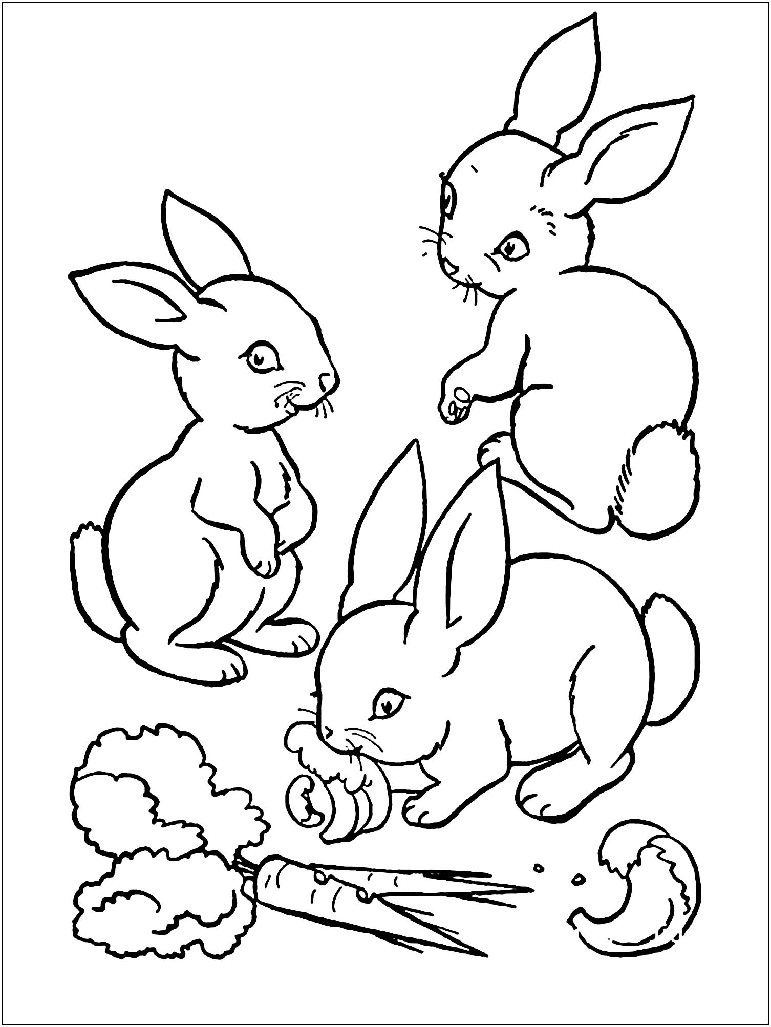 Coloring Pages Bunny 10