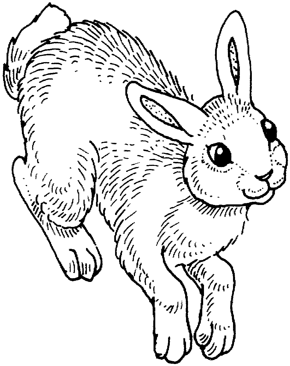 Coloring Pages Bunny 16