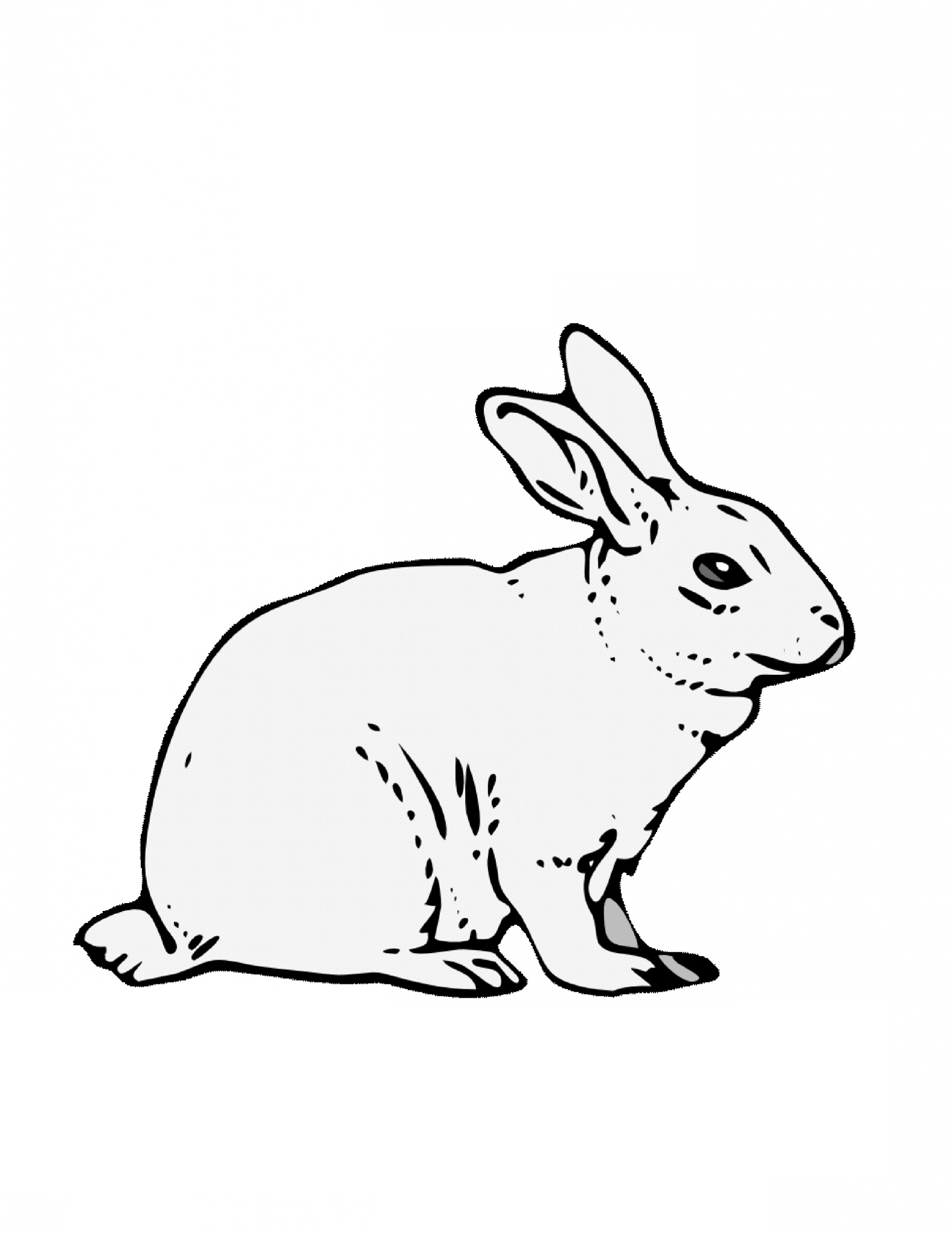 Coloring Pages Bunny 22