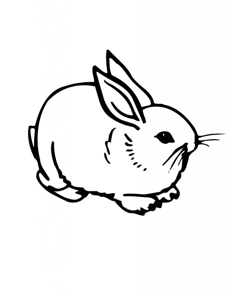 Coloring Pages Bunny 44