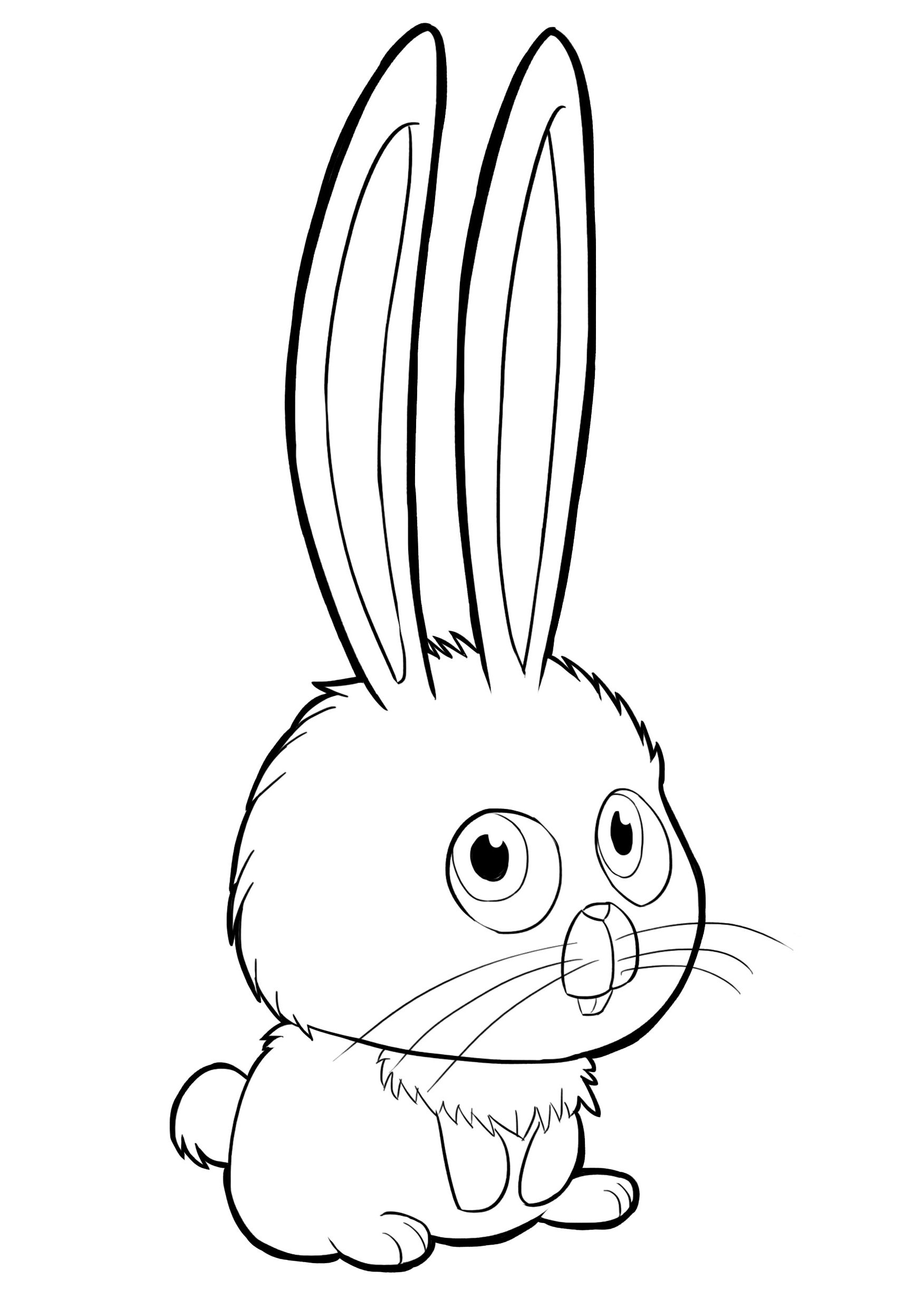 Coloring Pages Bunny 46