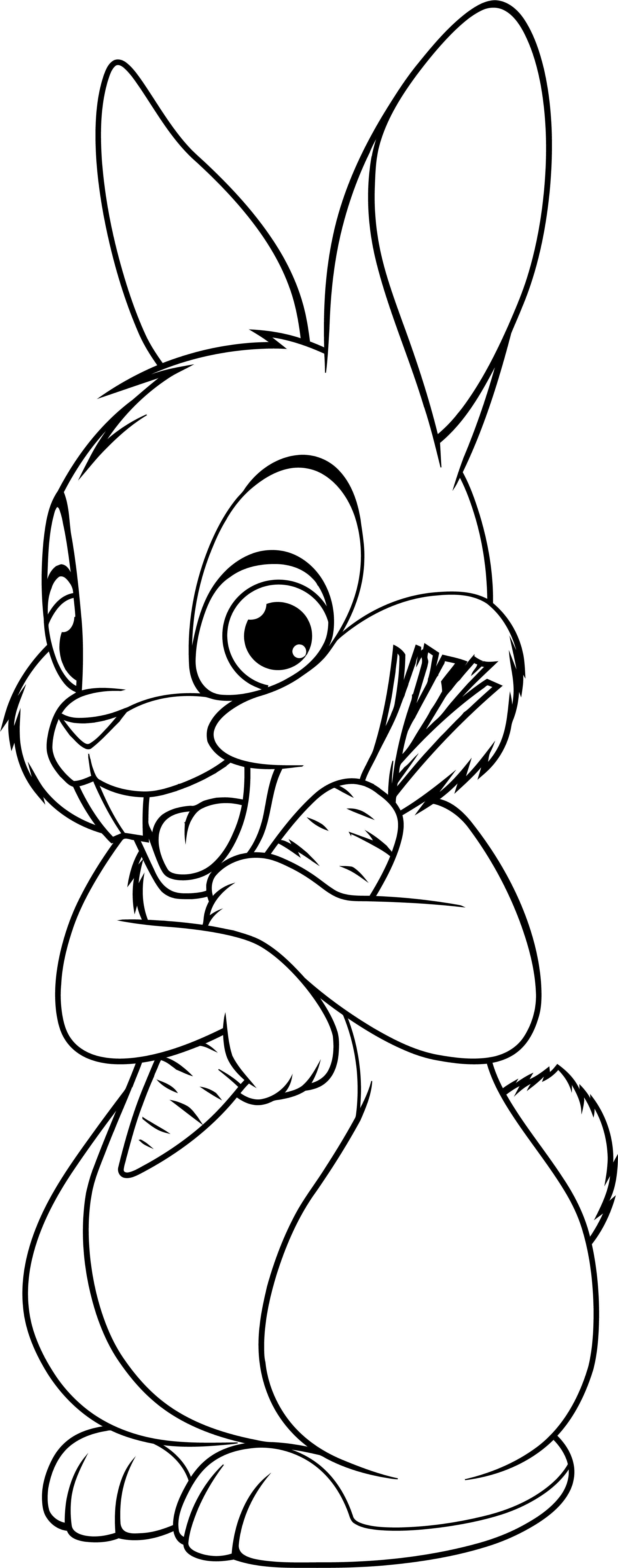 Coloring Pages Bunny 96