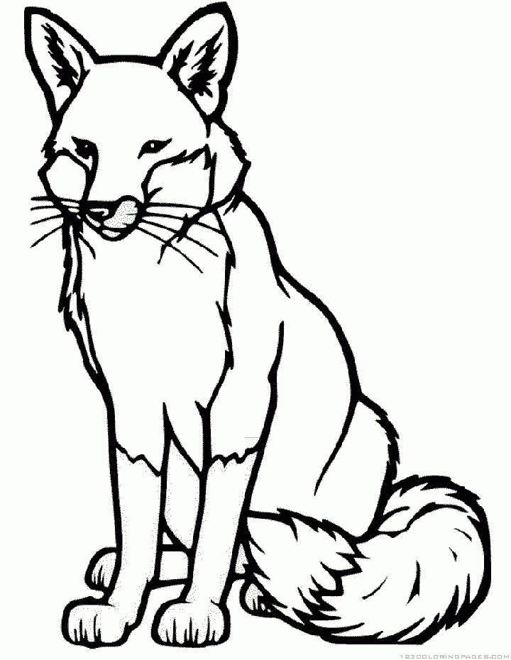 Coloring Pages Fox 3