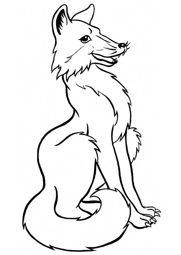 Coloring Pages Fox 35