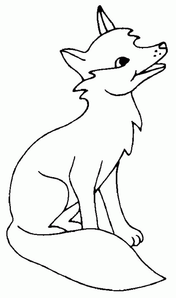 Coloring Pages Fox 46