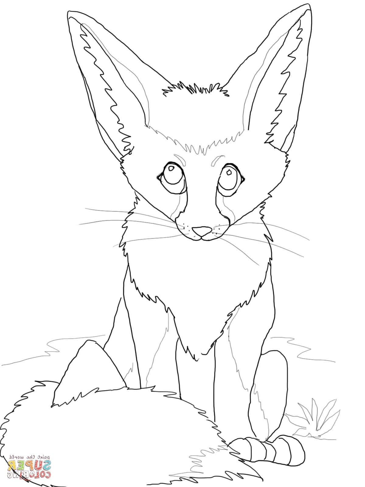 Coloring Pages Fox 57