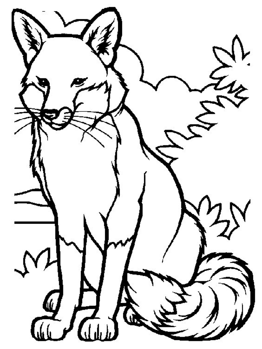 Coloring Pages Fox 59