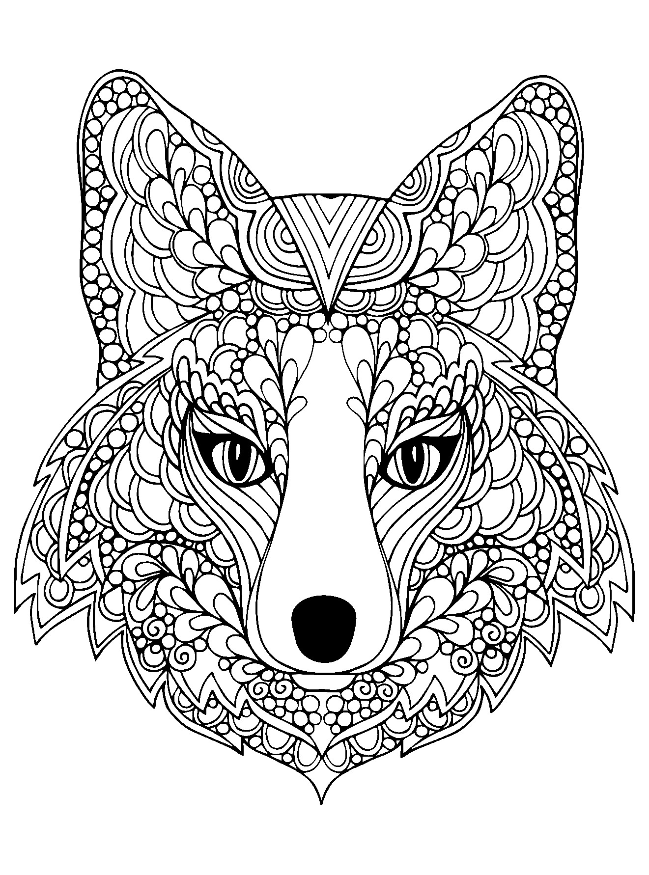 Coloring Pages Fox 63