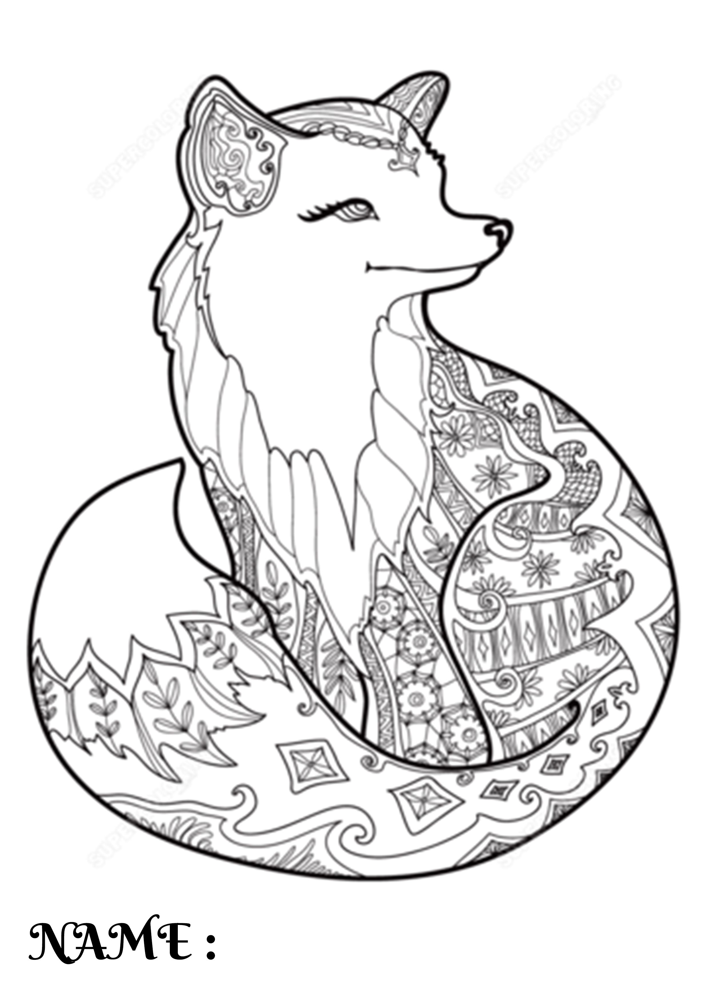 Coloring Pages Fox 64