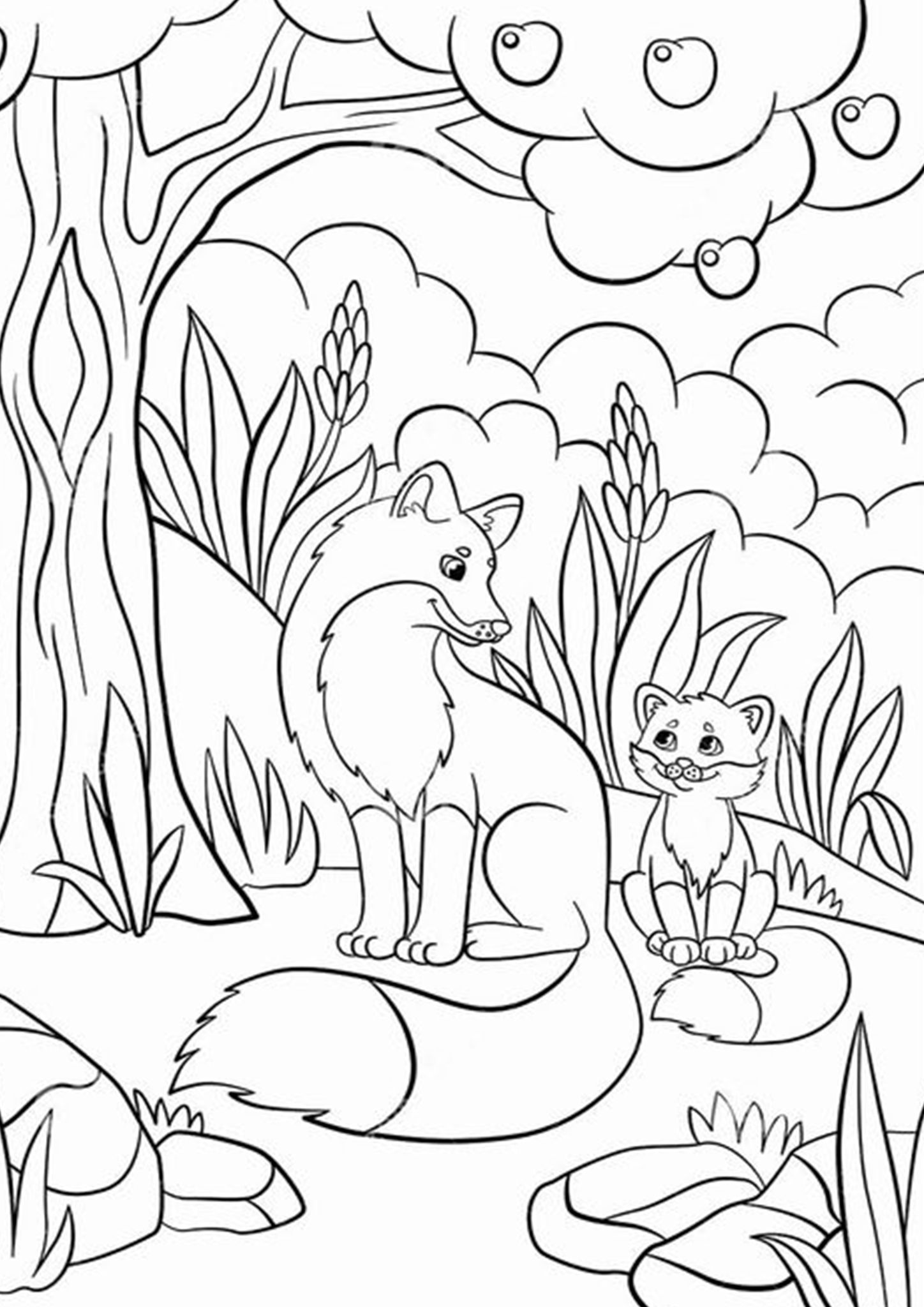 Coloring Pages Fox 67