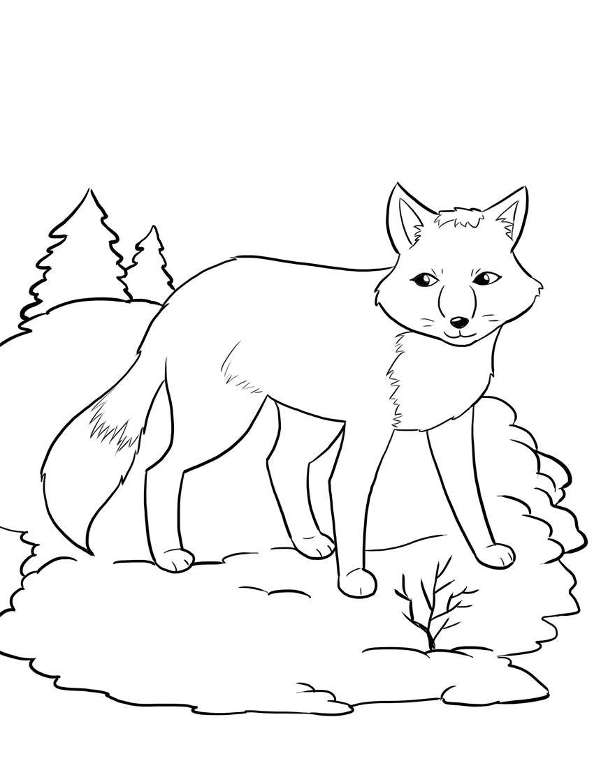 Coloring Pages Fox 74