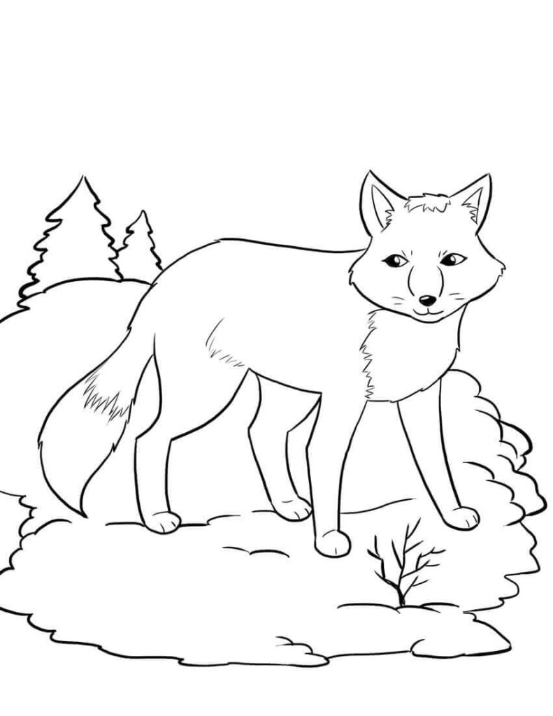 Coloring Pages Fox 89