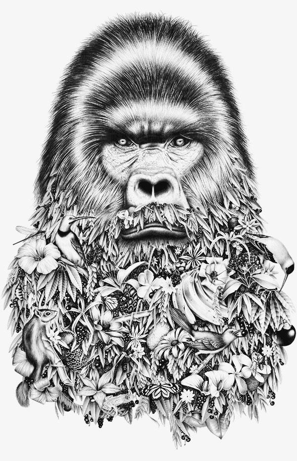 Coloring Pages Of Gorillas 10