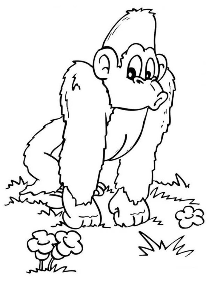 Coloring Pages Of Gorillas 14