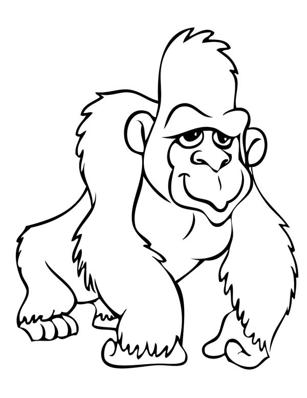 Coloring Pages Of Gorillas 17