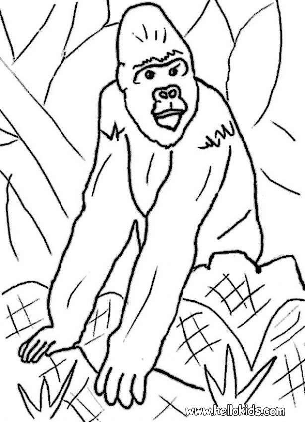 Coloring Pages Of Gorillas 18