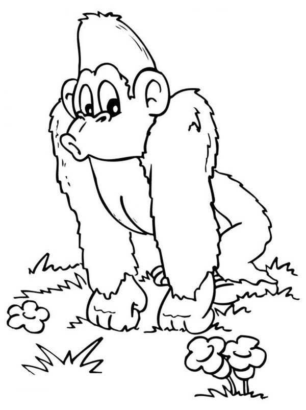 Coloring Pages Of Gorillas 19