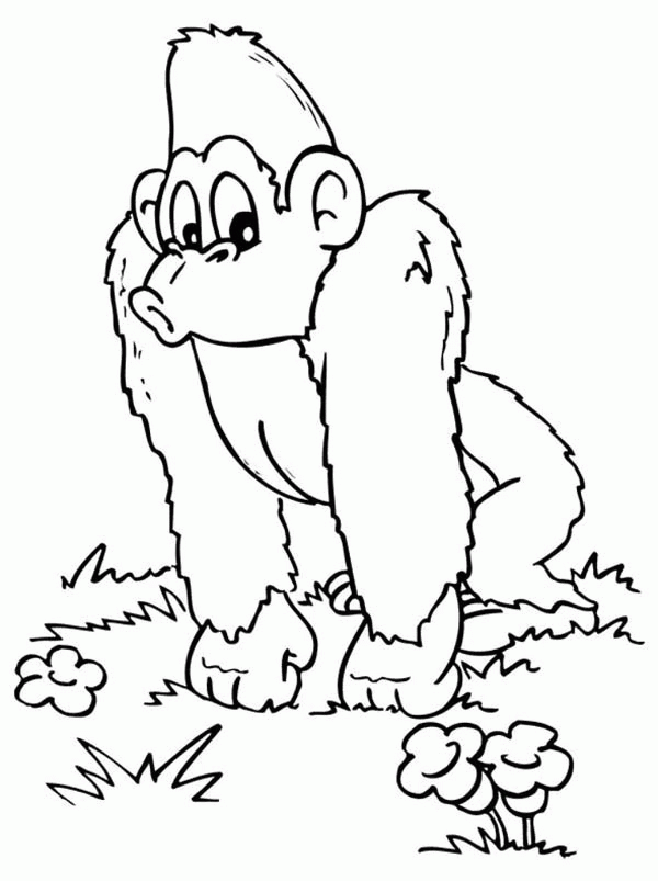 Coloring Pages Of Gorillas 20