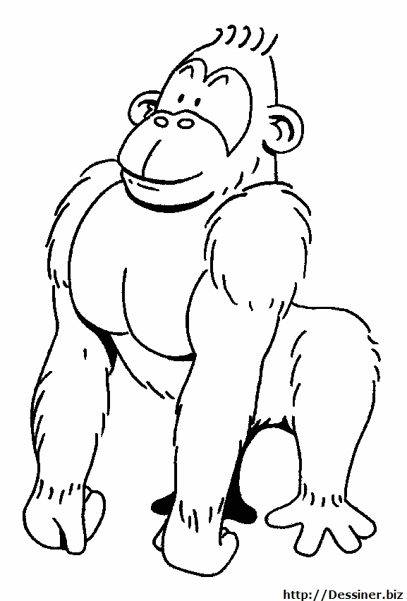 Coloring Pages Of Gorillas 28