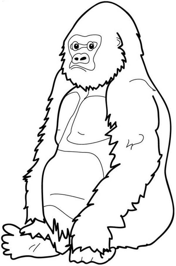 Coloring Pages Of Gorillas 3