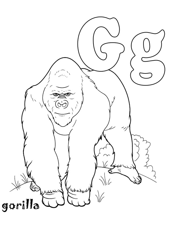 Coloring Pages Of Gorillas 33