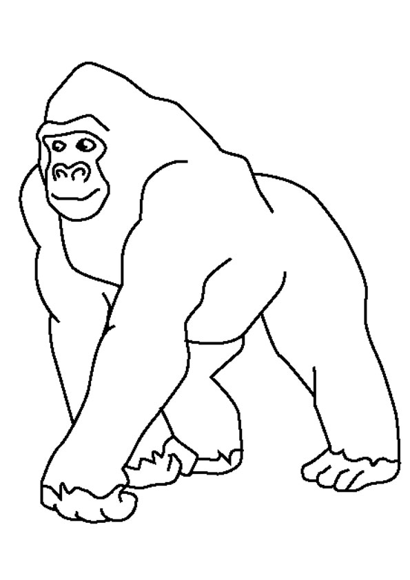 Coloring Pages Of Gorillas 34