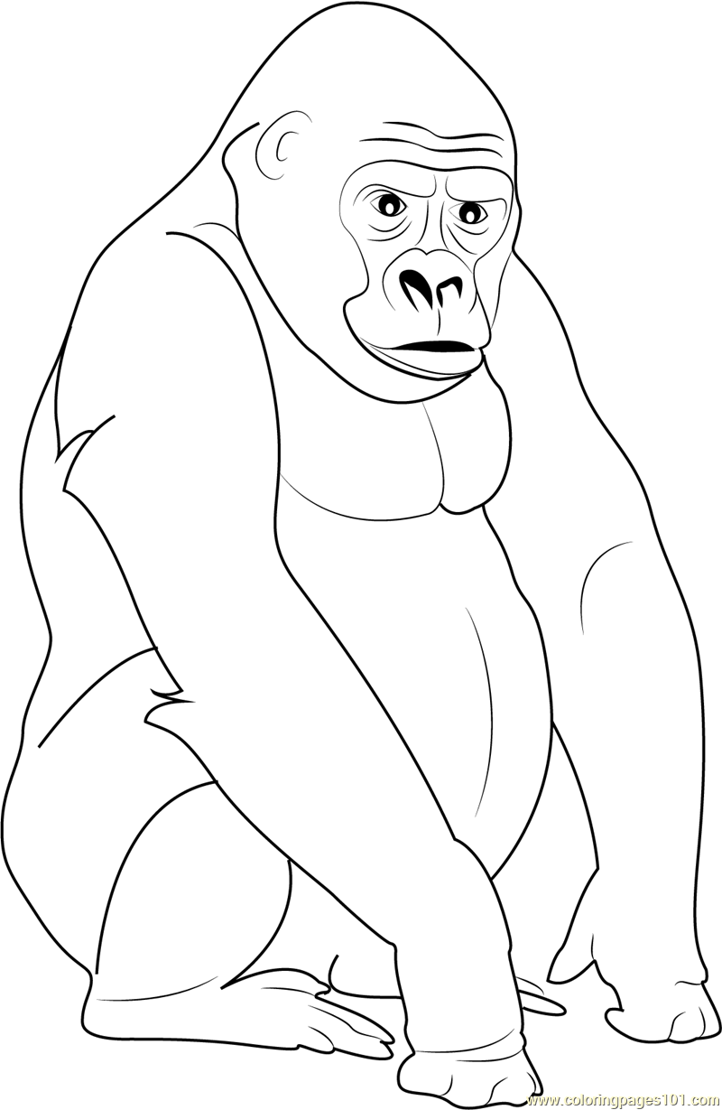 Coloring Pages Of Gorillas 36