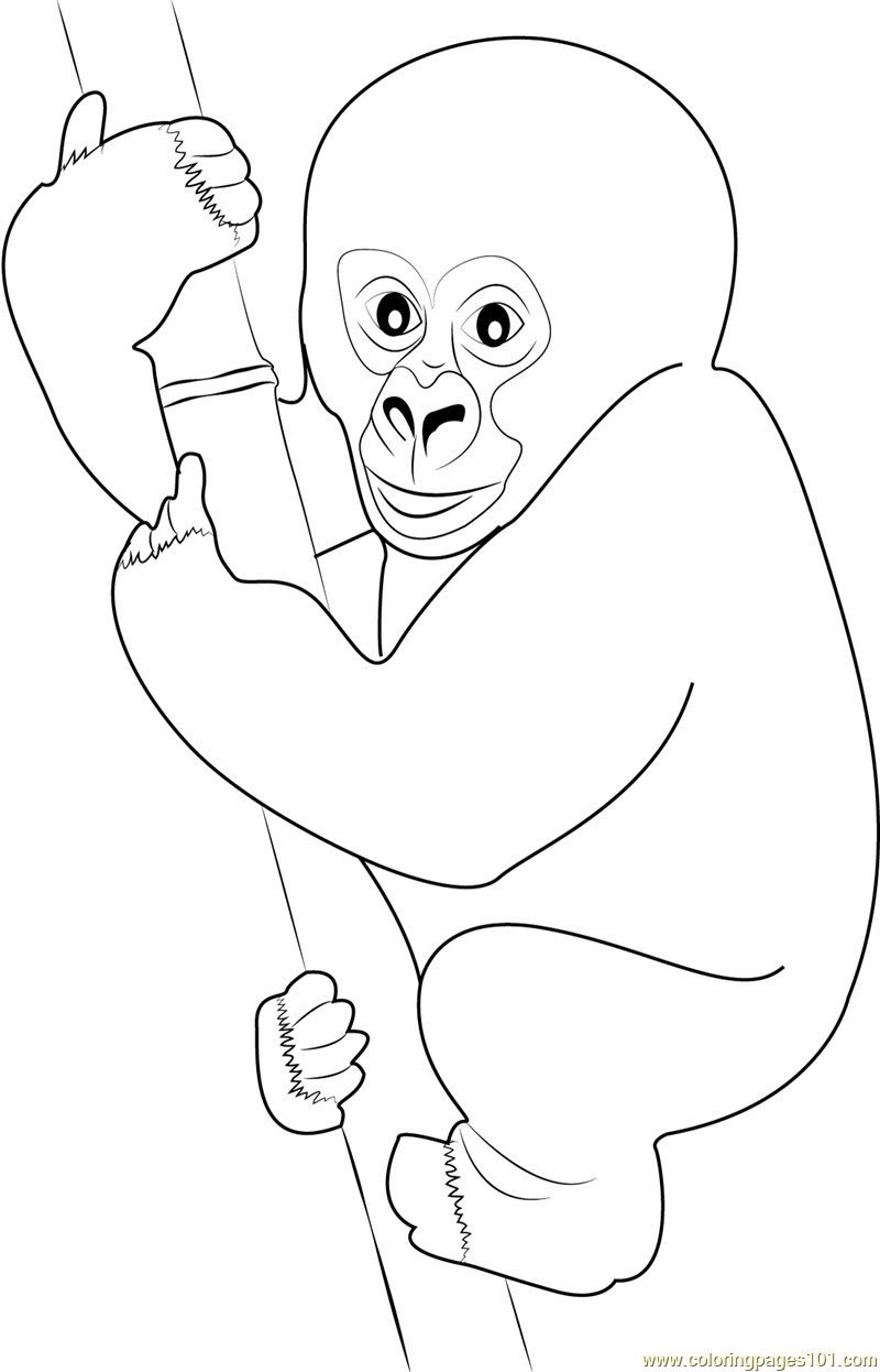 Coloring Pages Of Gorillas 47