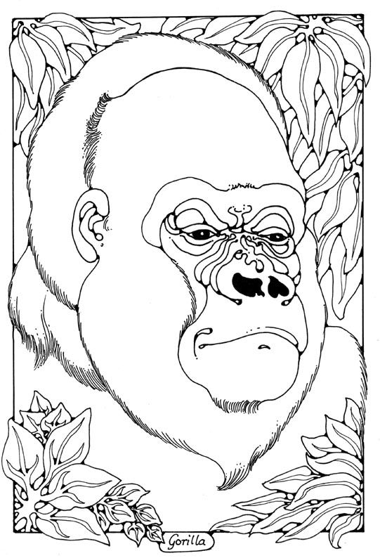 Coloring Pages Of Gorillas 59