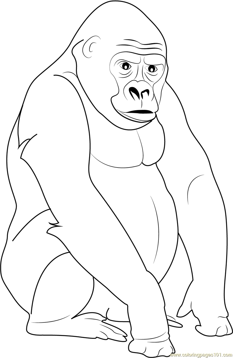 Coloring Pages Of Gorillas 61