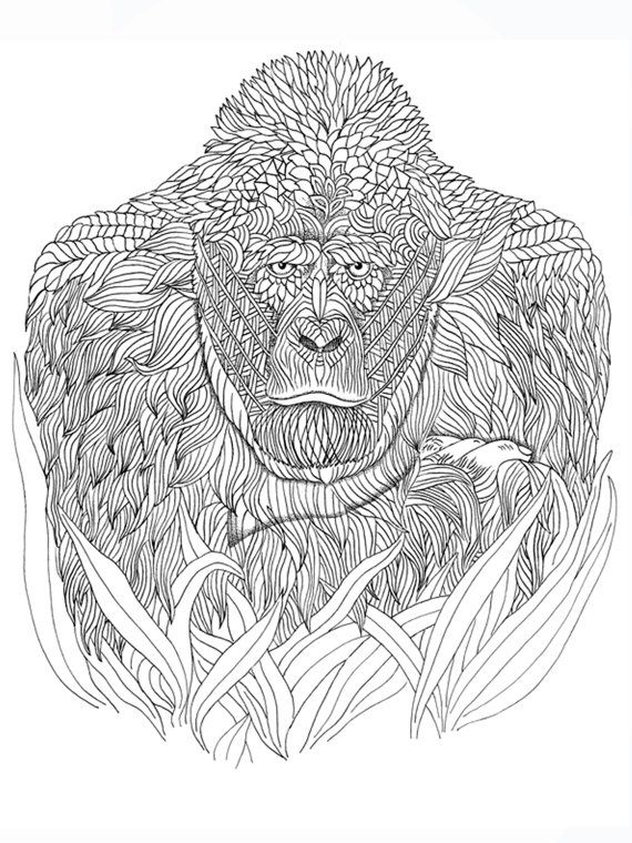 Coloring Pages Of Gorillas 66