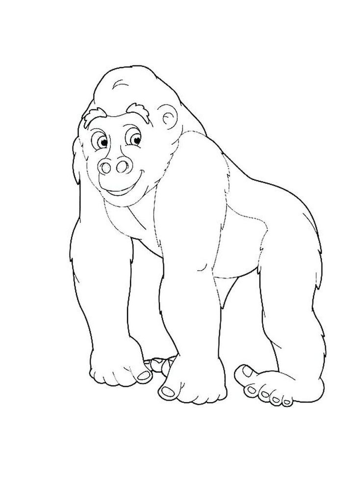 Coloring Pages Of Gorillas 7