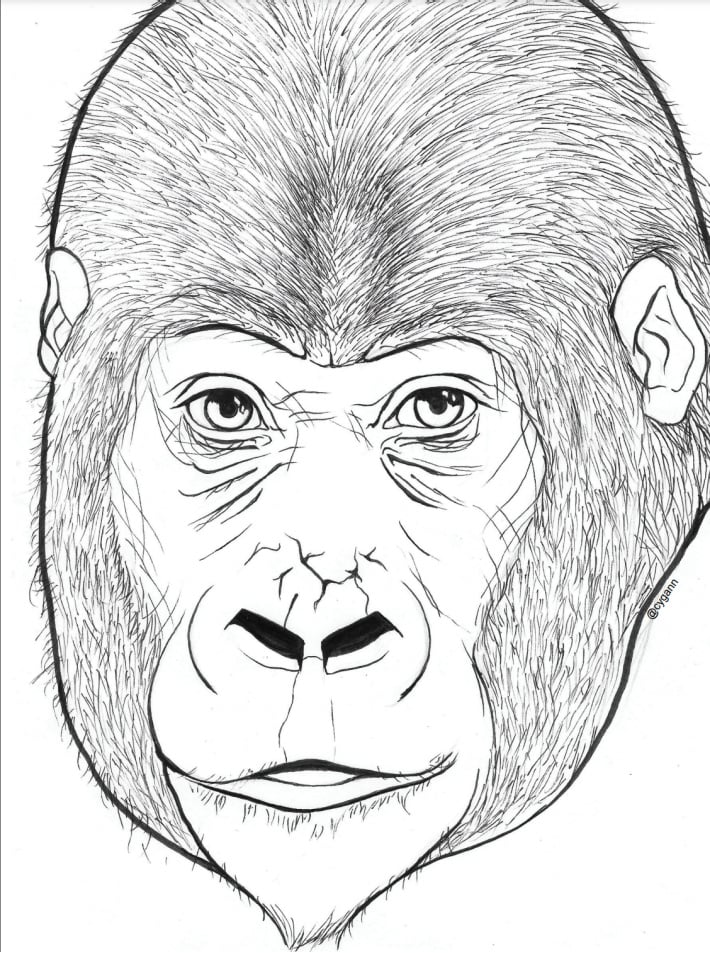 Coloring Pages Of Gorillas 71