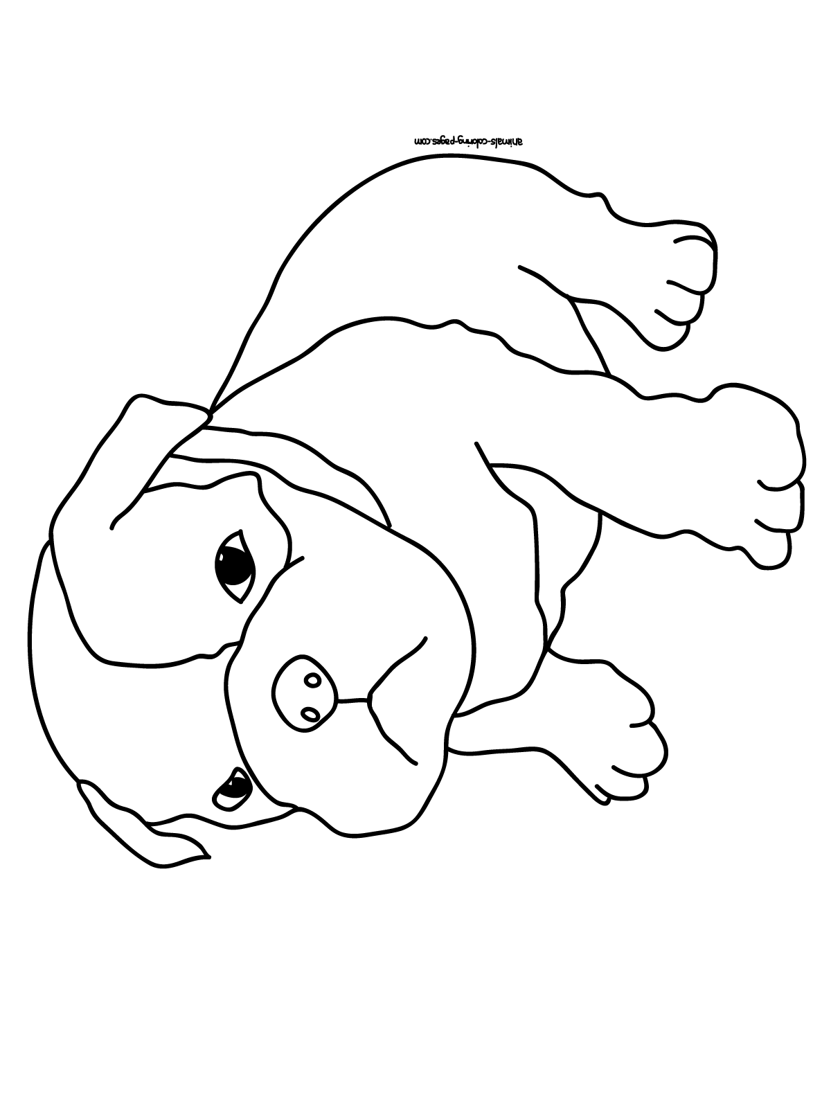 Dog Coloring Pictures 11