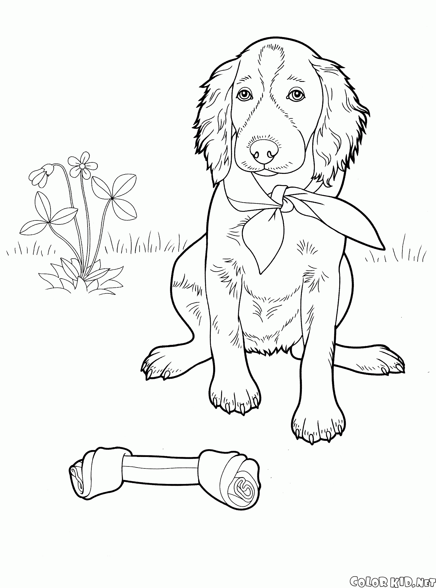 Dog Coloring Pictures 15