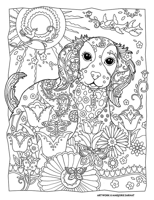 Dog Coloring Pictures 31