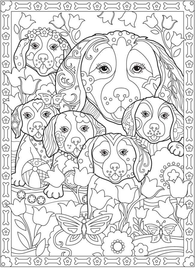 Dog Coloring Pictures 37