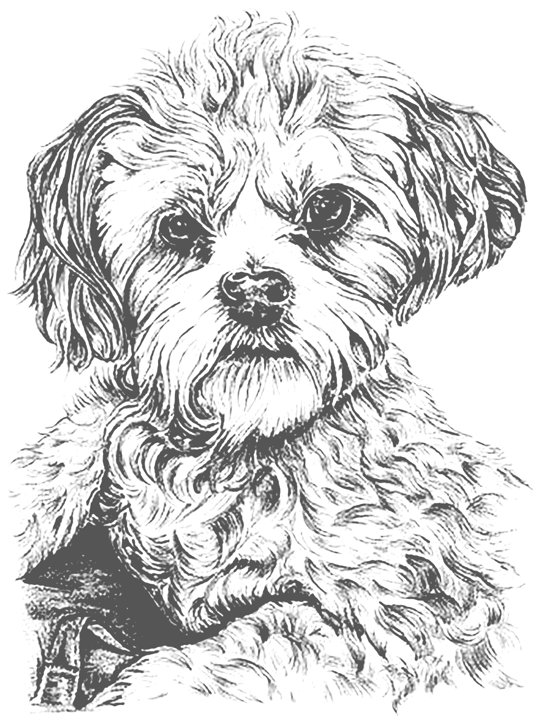 Dog Coloring Pictures 46