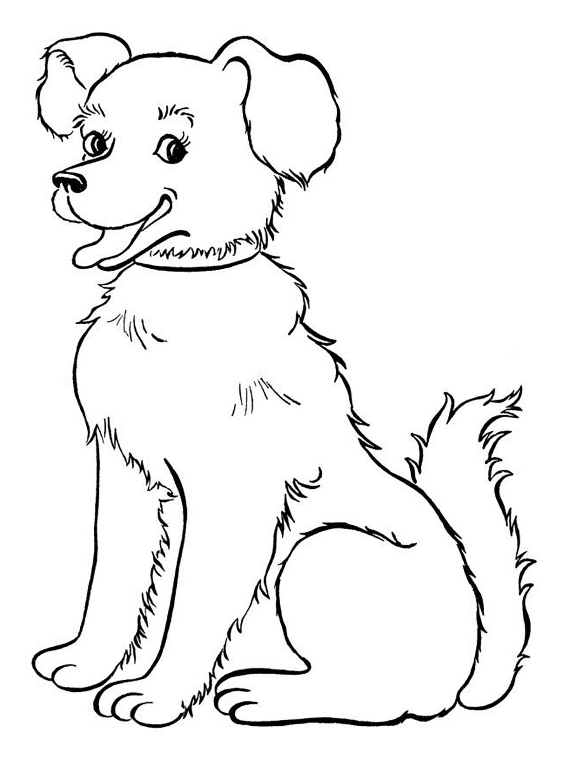 Dog Coloring Pictures 5