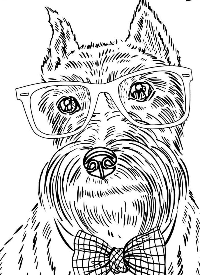 Dog Coloring Pictures 60