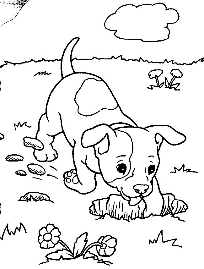 Dog Coloring Pictures 74