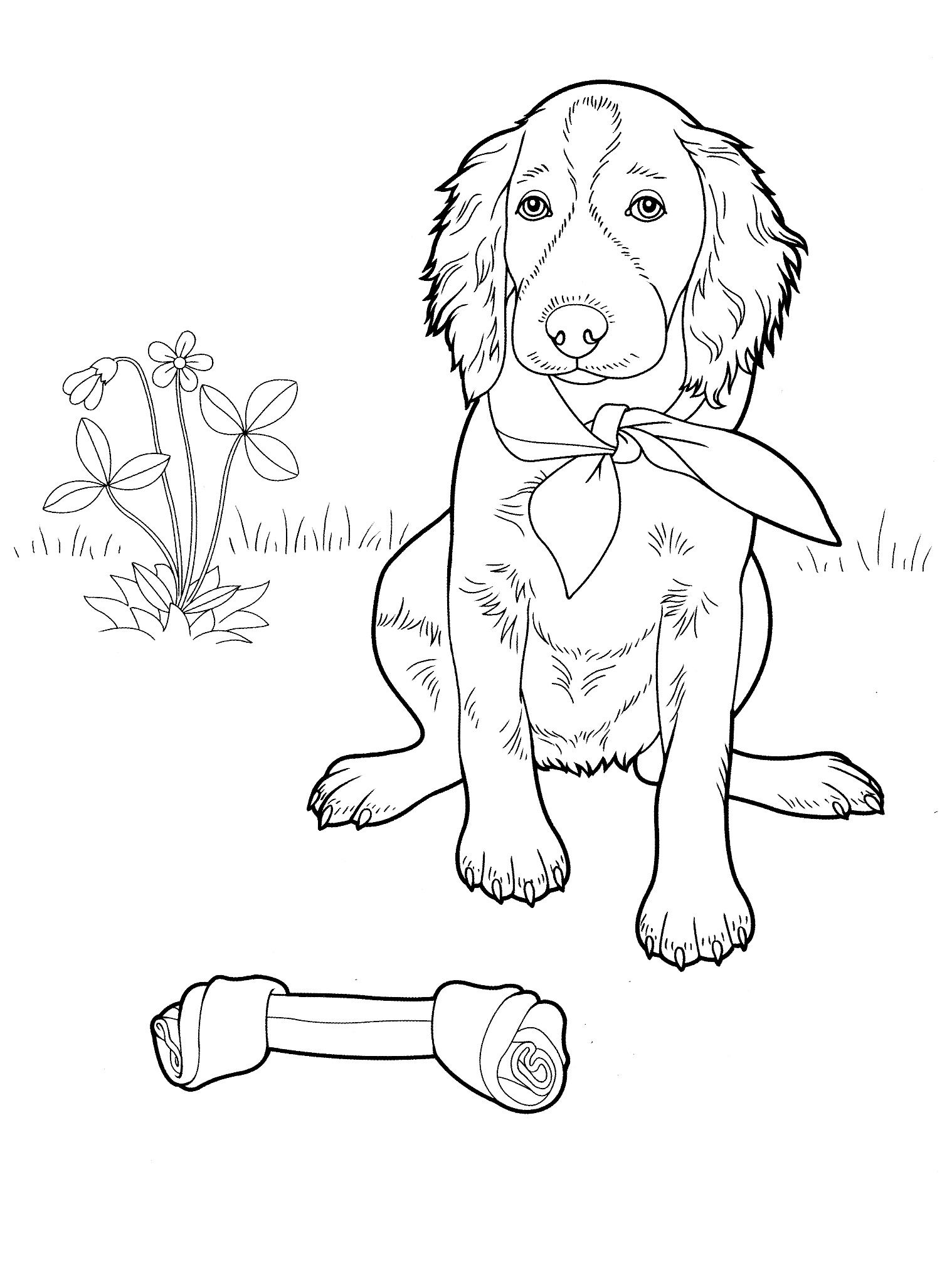 Dog Coloring Pictures 76