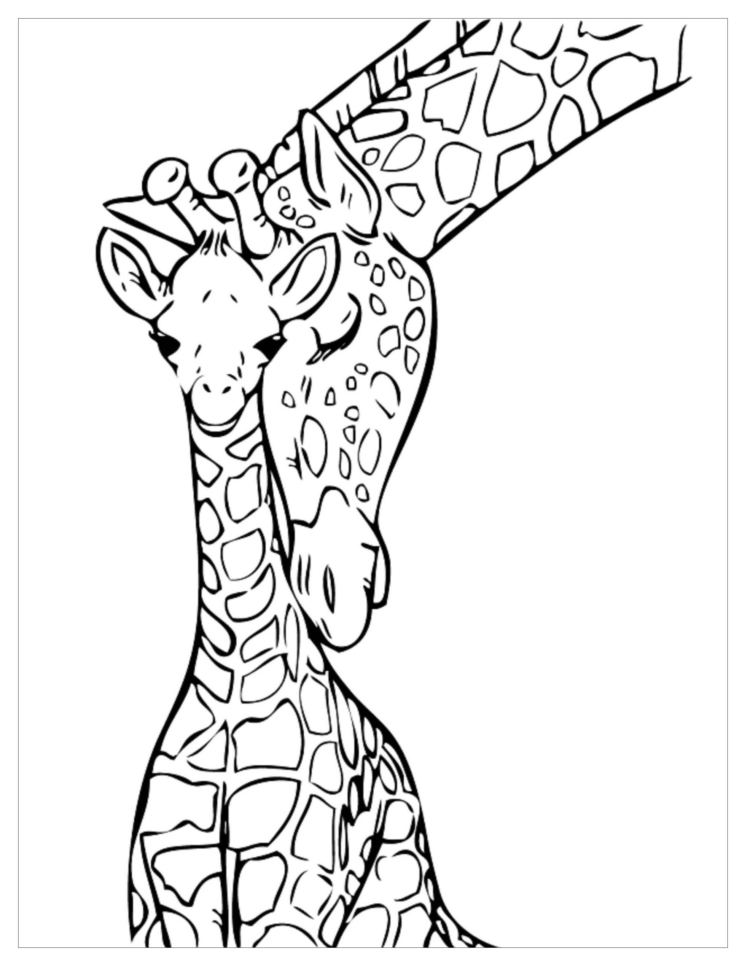 Giraffe Coloring Sheet 22