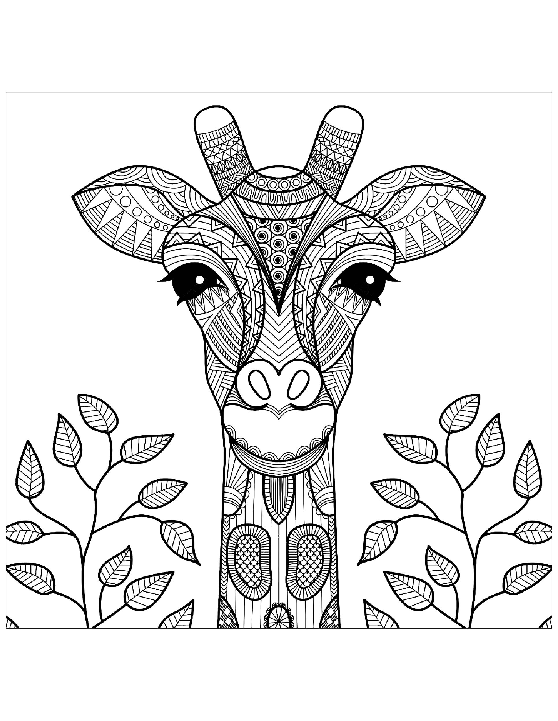 Giraffe Coloring Sheet 27