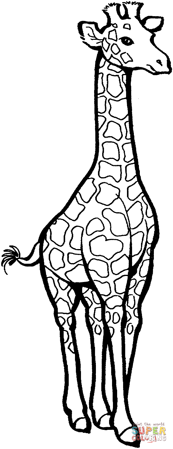 Giraffe Coloring Sheet 28