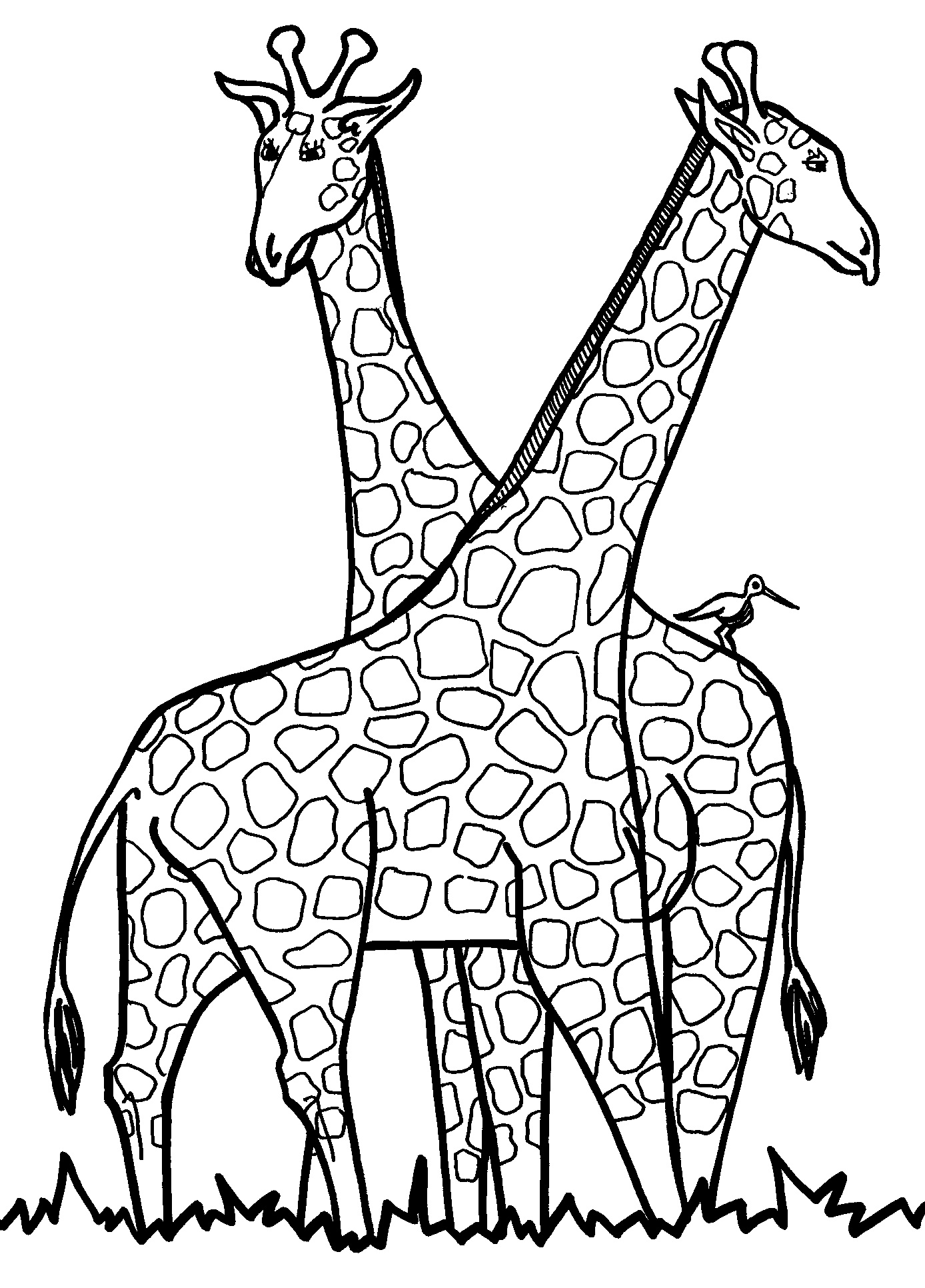 Giraffe Coloring Sheet 34