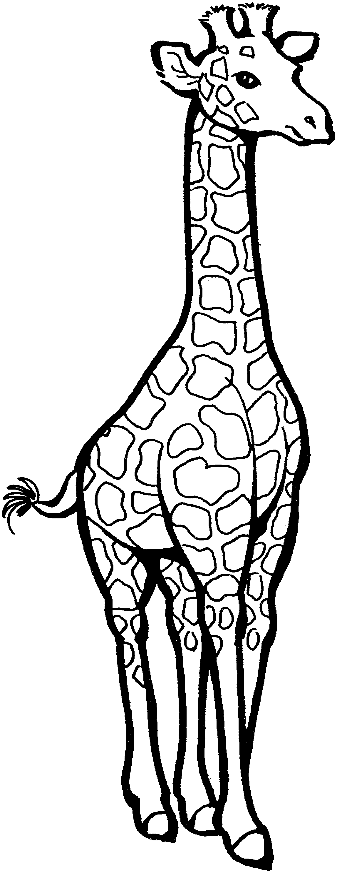 Giraffe Coloring Sheet 35