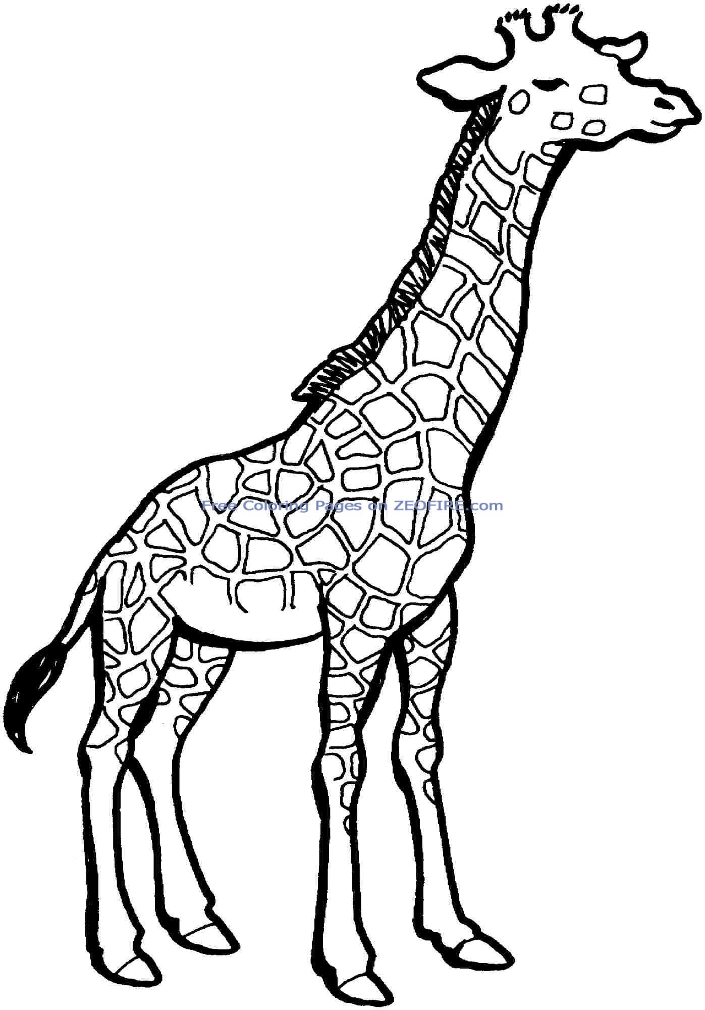 Giraffe Coloring Sheet 36