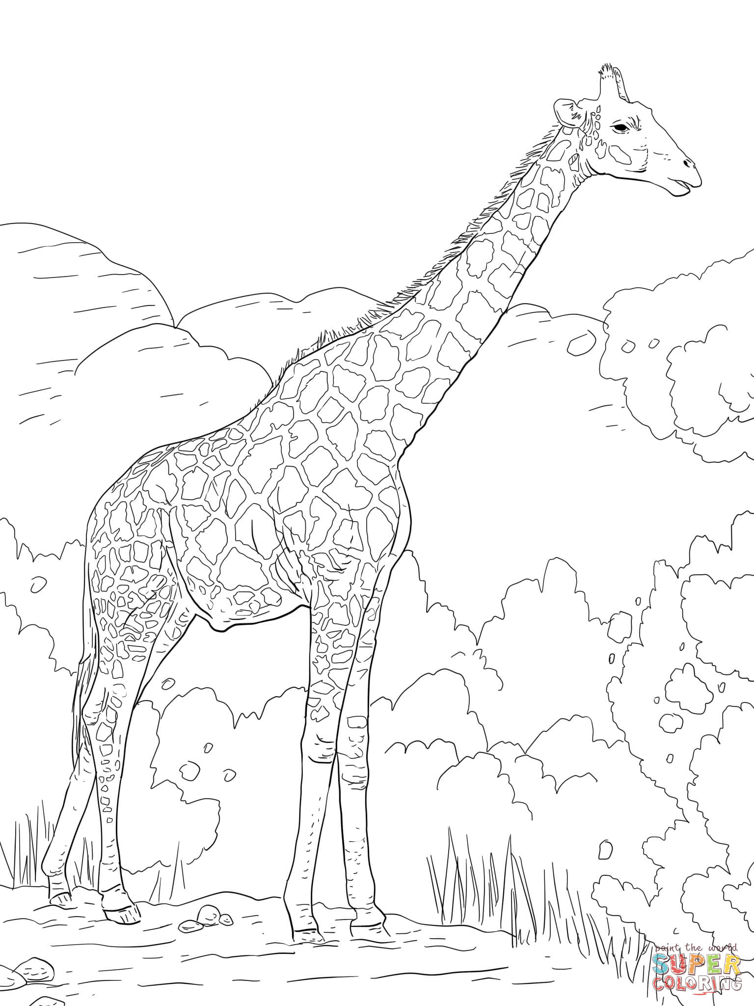 Giraffe Coloring Sheet 41