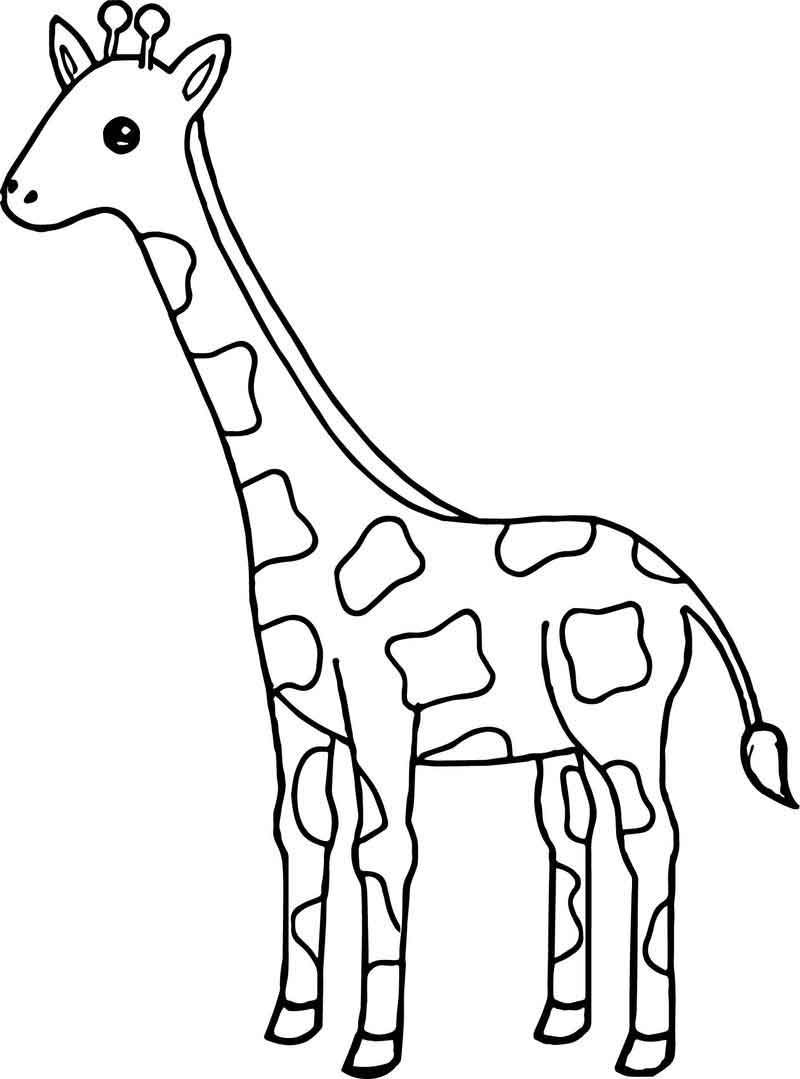 Giraffe Coloring Sheet 49